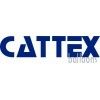 Jade Fashion Metallic Cattex 12